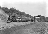 Goods Train at Karangahake – 1905.